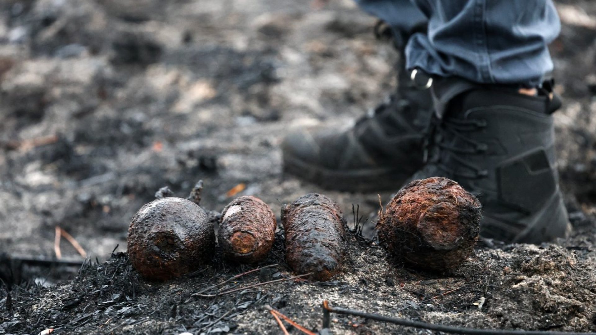 This photograph shows shells from World War II in Le Porge, south-western France on August 3, 202...