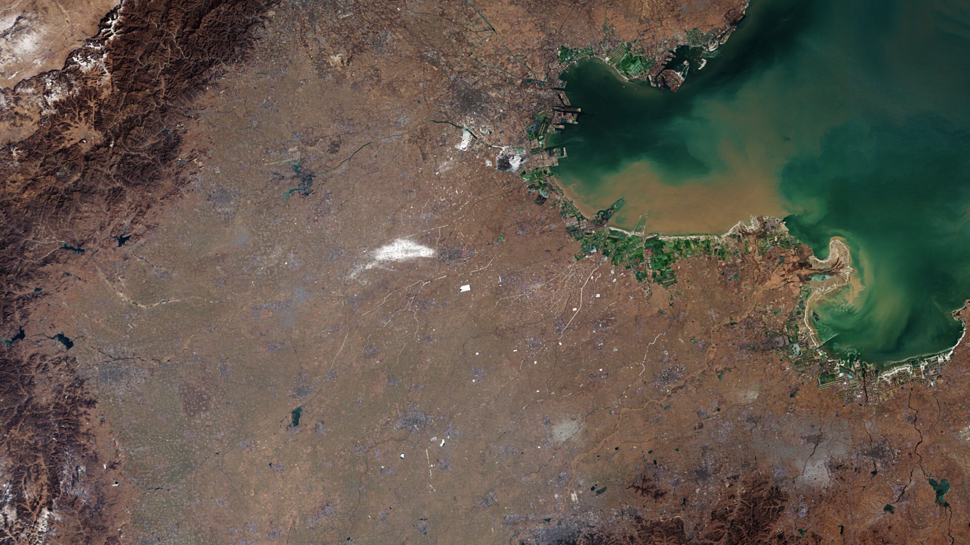 River deltas are sinking faster than the sea is rising