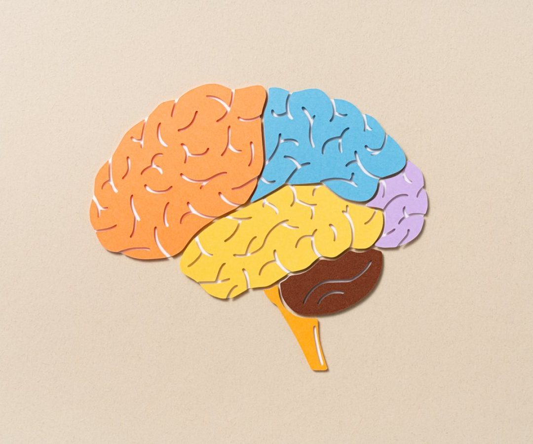 An illustration of a brain. MirageC/Getty Images
