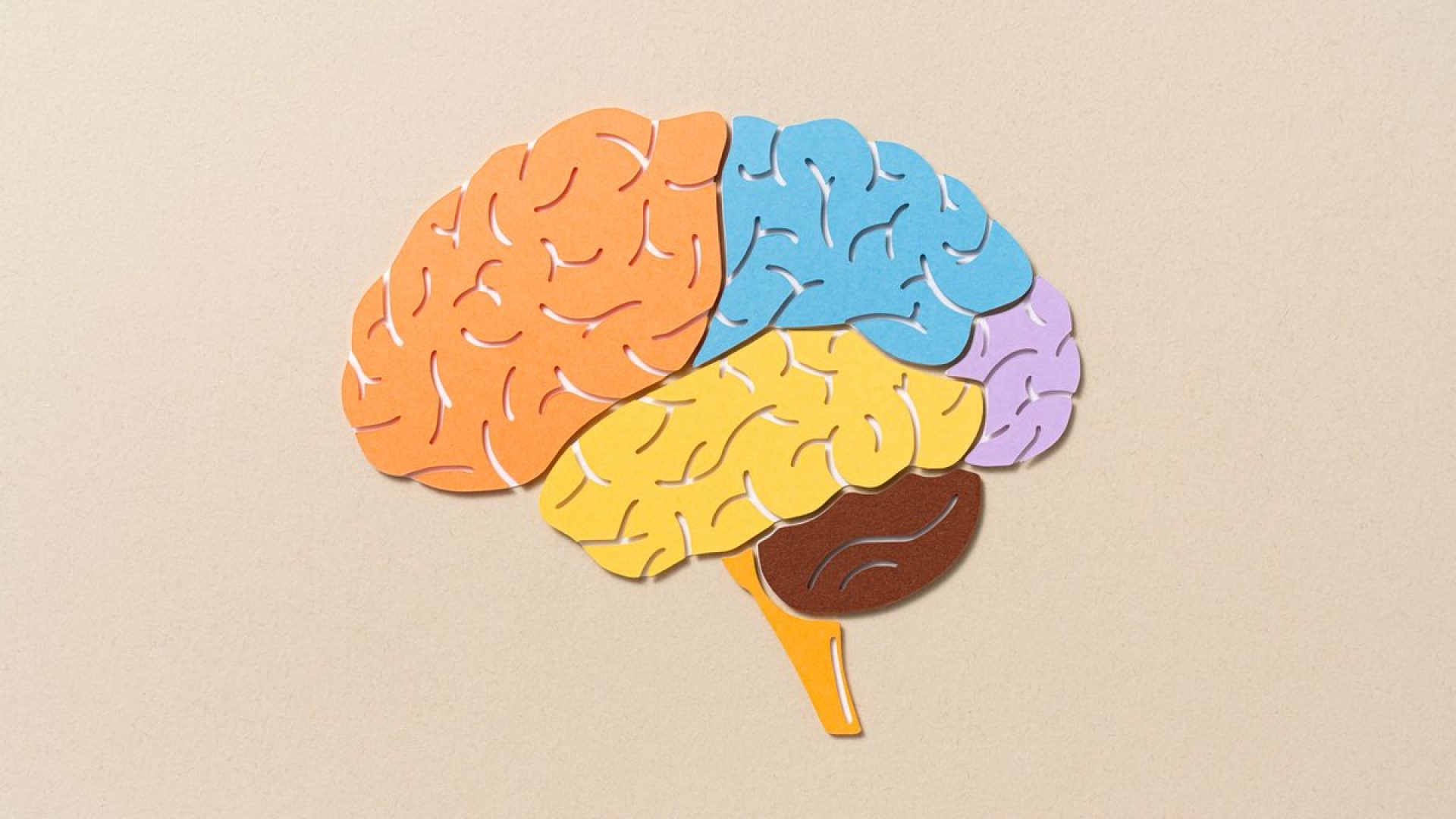 An illustration of a brain. MirageC/Getty Images