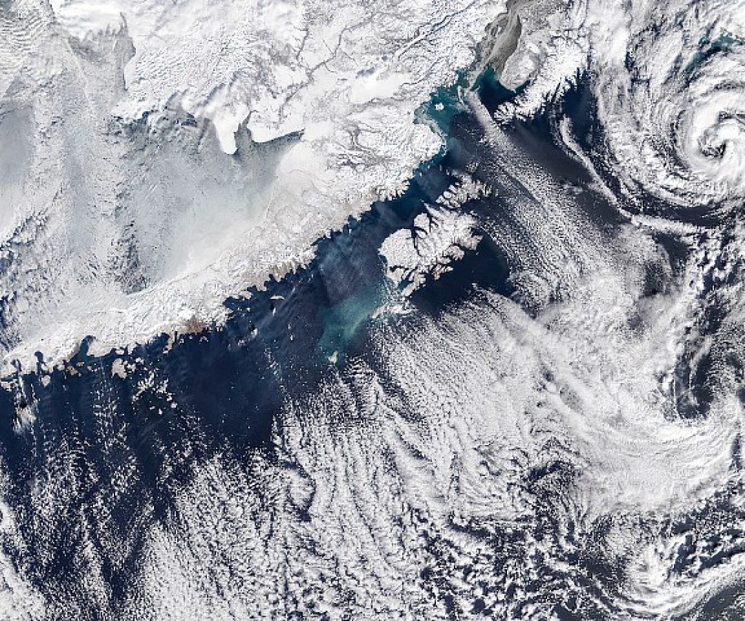NASA Earth Observatory/Michala Garrison
