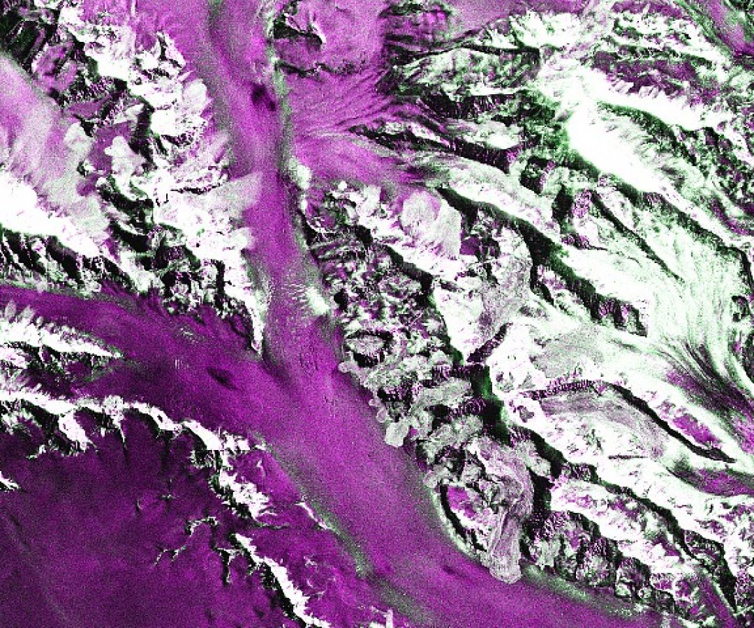 NASA Earth Observatory / Lauren Dauphin