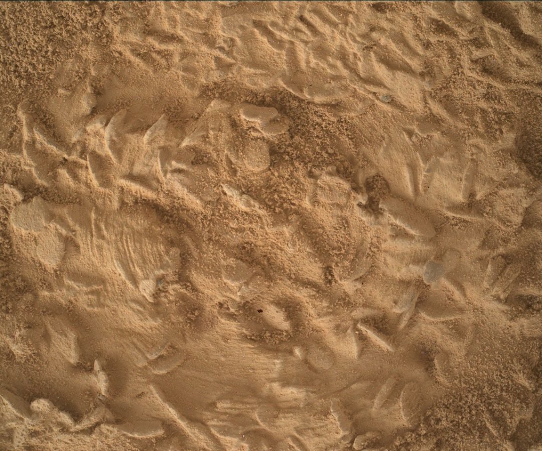 NASA/JPL-Caltech/MSSS