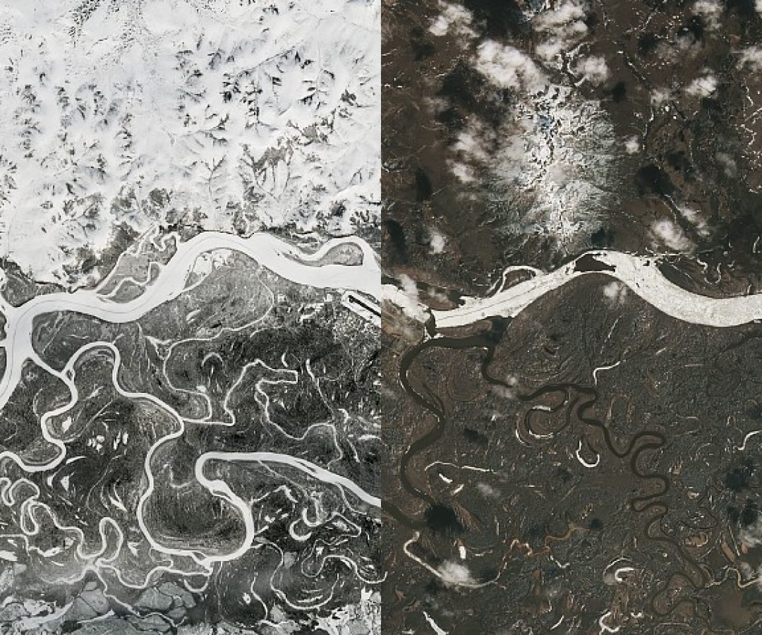 NASA Earth Observatory/Michala Garrison