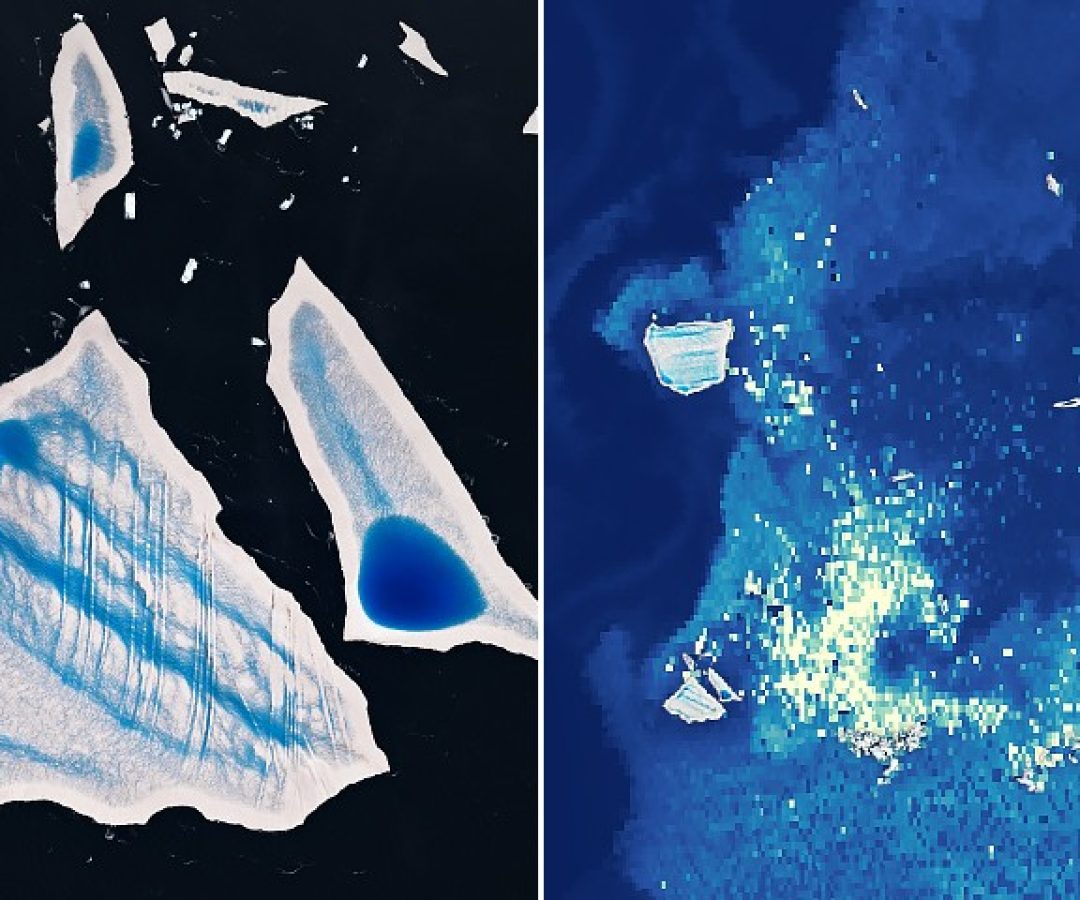 NASA Earth Observatory