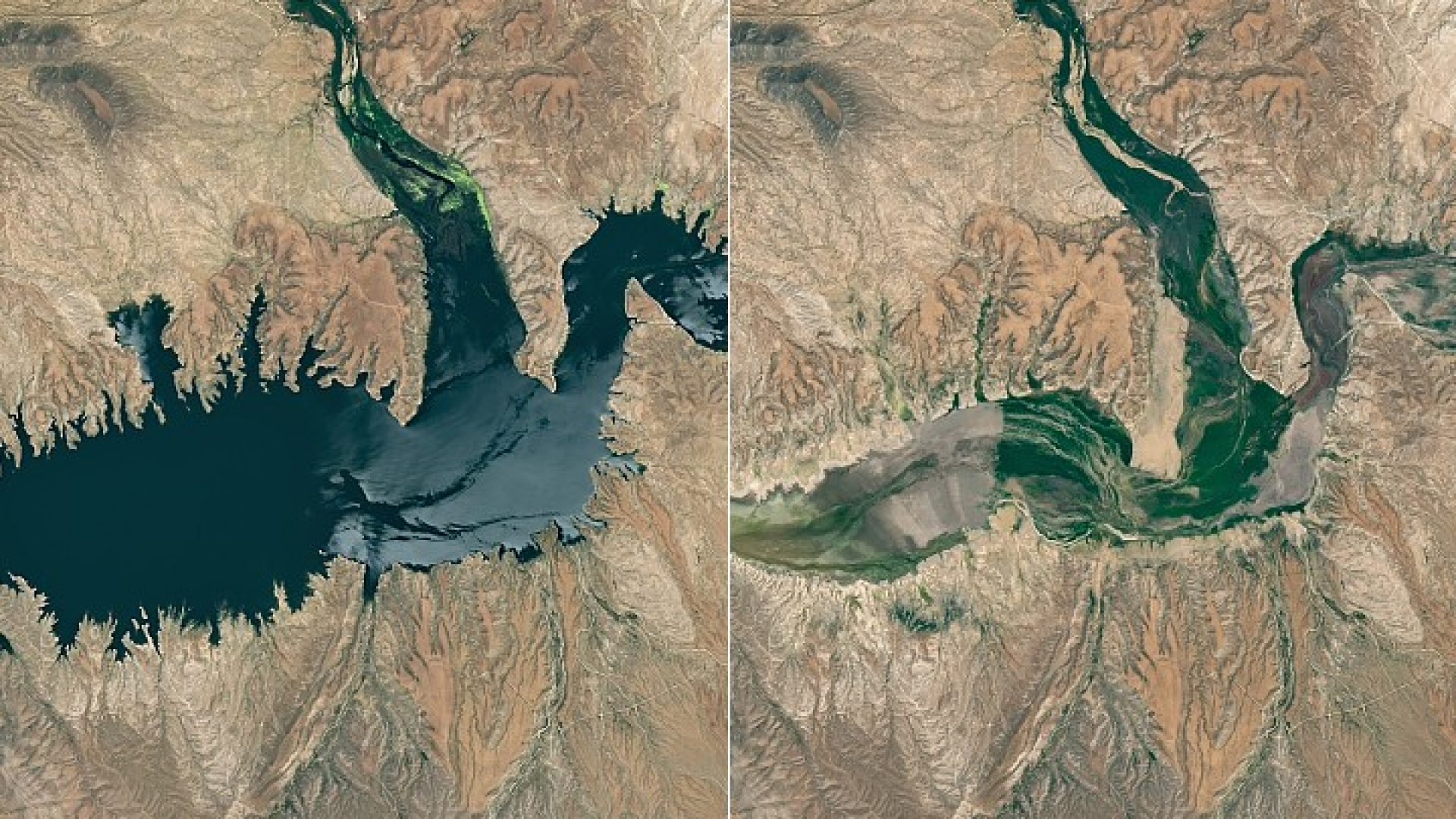 NASA Earth Observatory/Michala Garrison