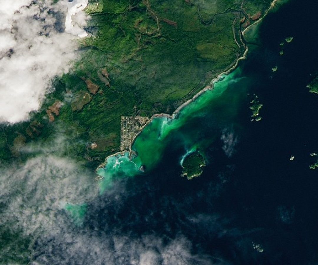 NASA Earth Observatory/Lauren Dauphin
