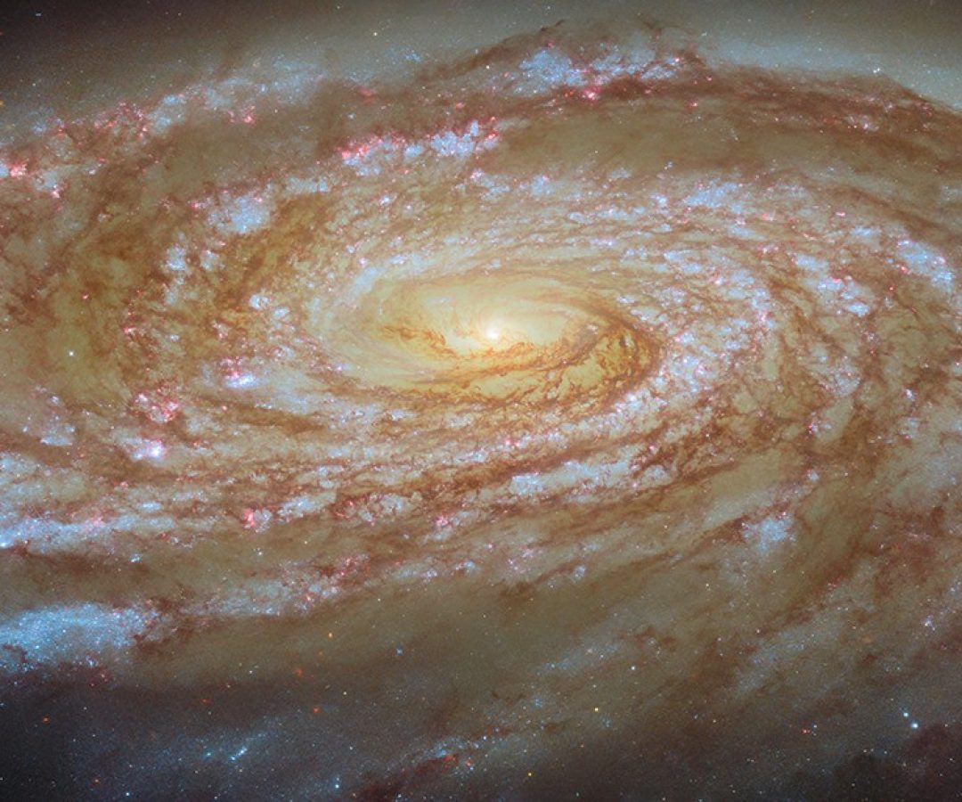 ESA/Hubble & NASA, D. Thilker