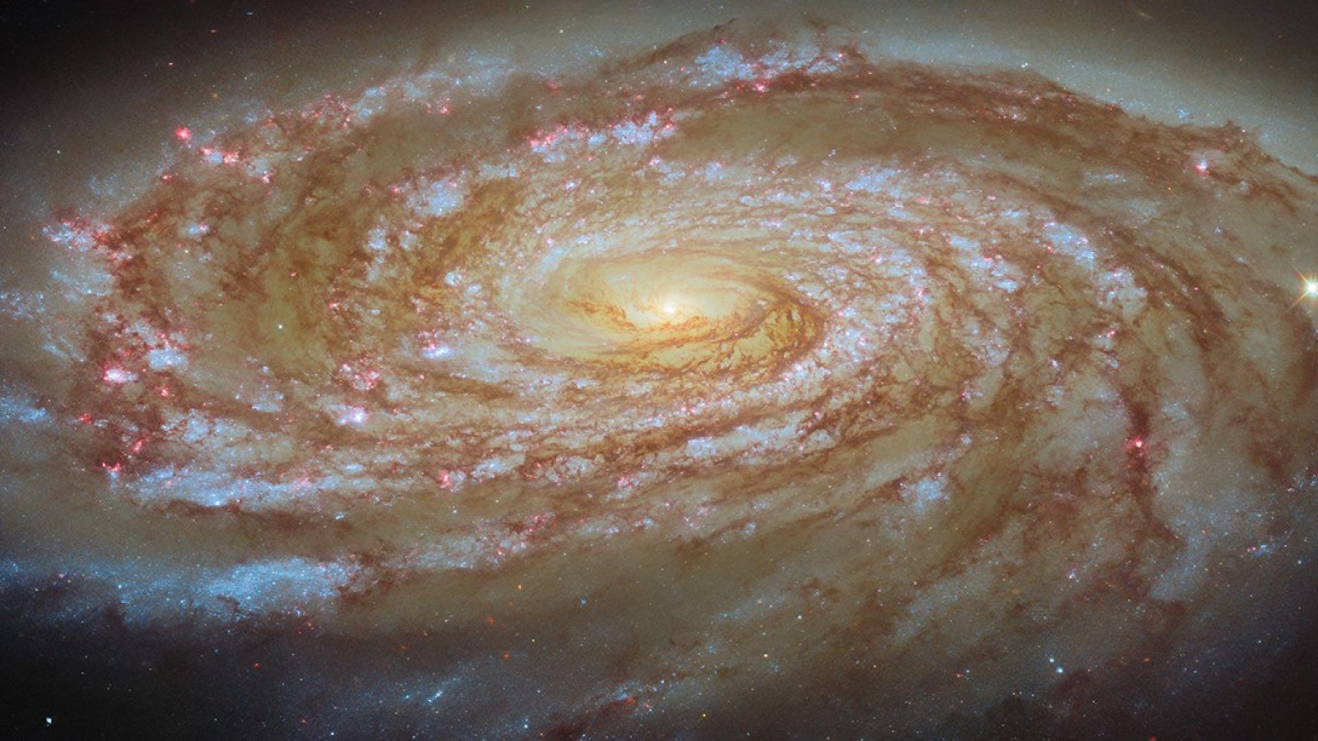 ESA/Hubble & NASA, D. Thilker