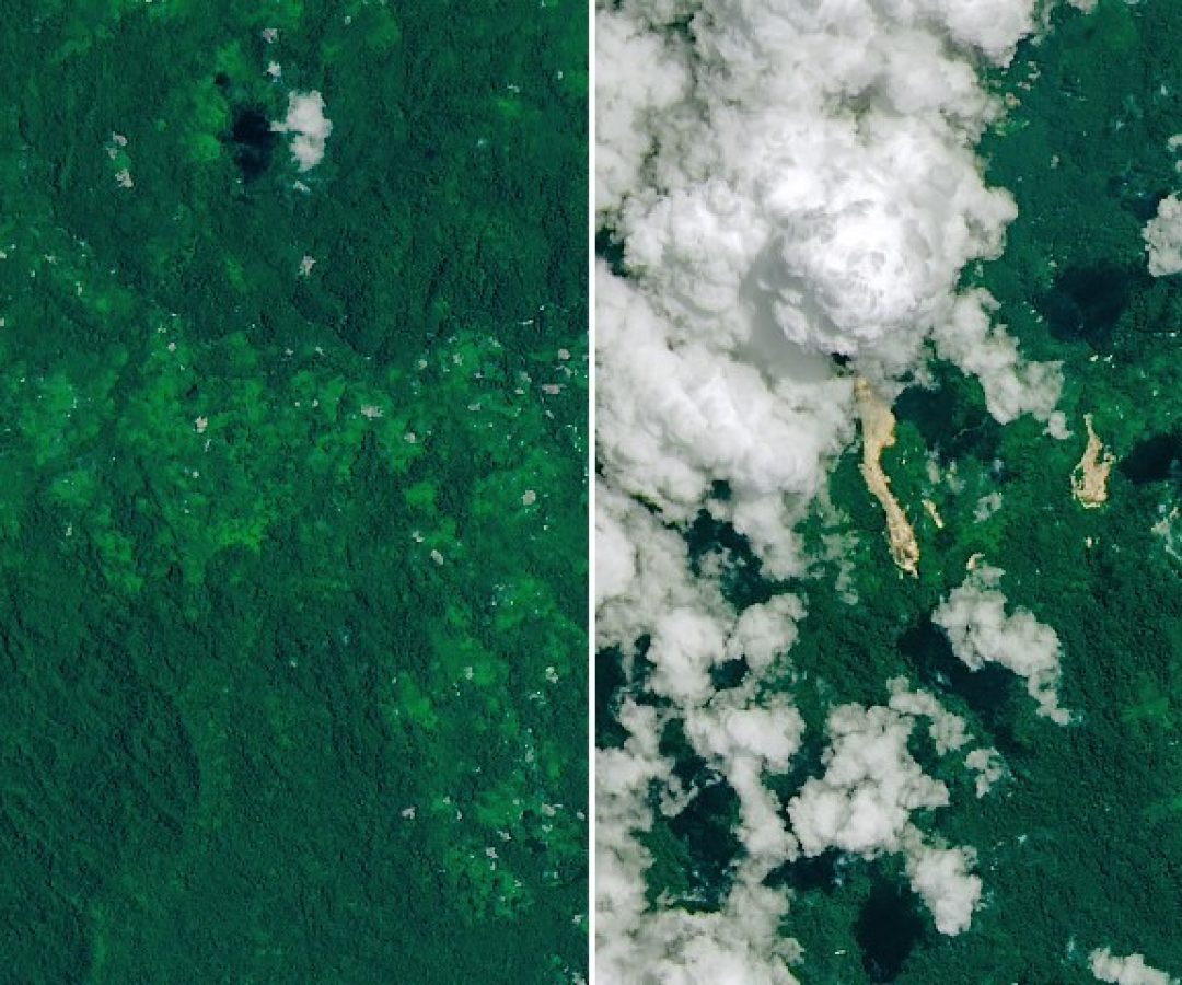 NASA Earth Observatory/Michala Garrison