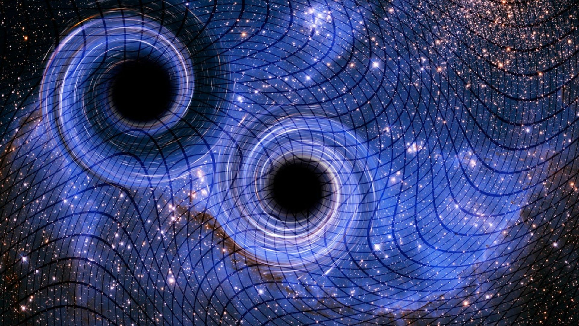 VICTOR de SCHWANBERG/SCIENCE PHOTO LIBRARY