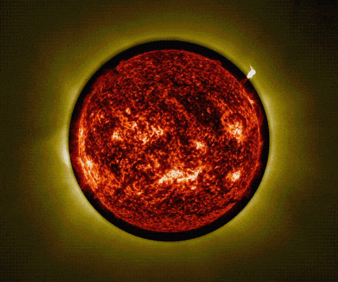 A luz amarela que circunda o Sol no gif acima é a coroa solar, vista pelo coronógrafo da sonda ...