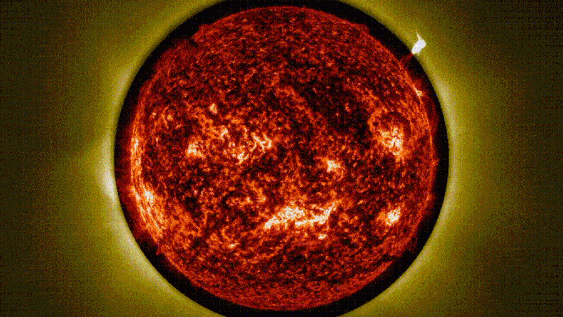 A luz amarela que circunda o Sol no gif acima é a coroa solar, vista pelo coronógrafo da sonda ...