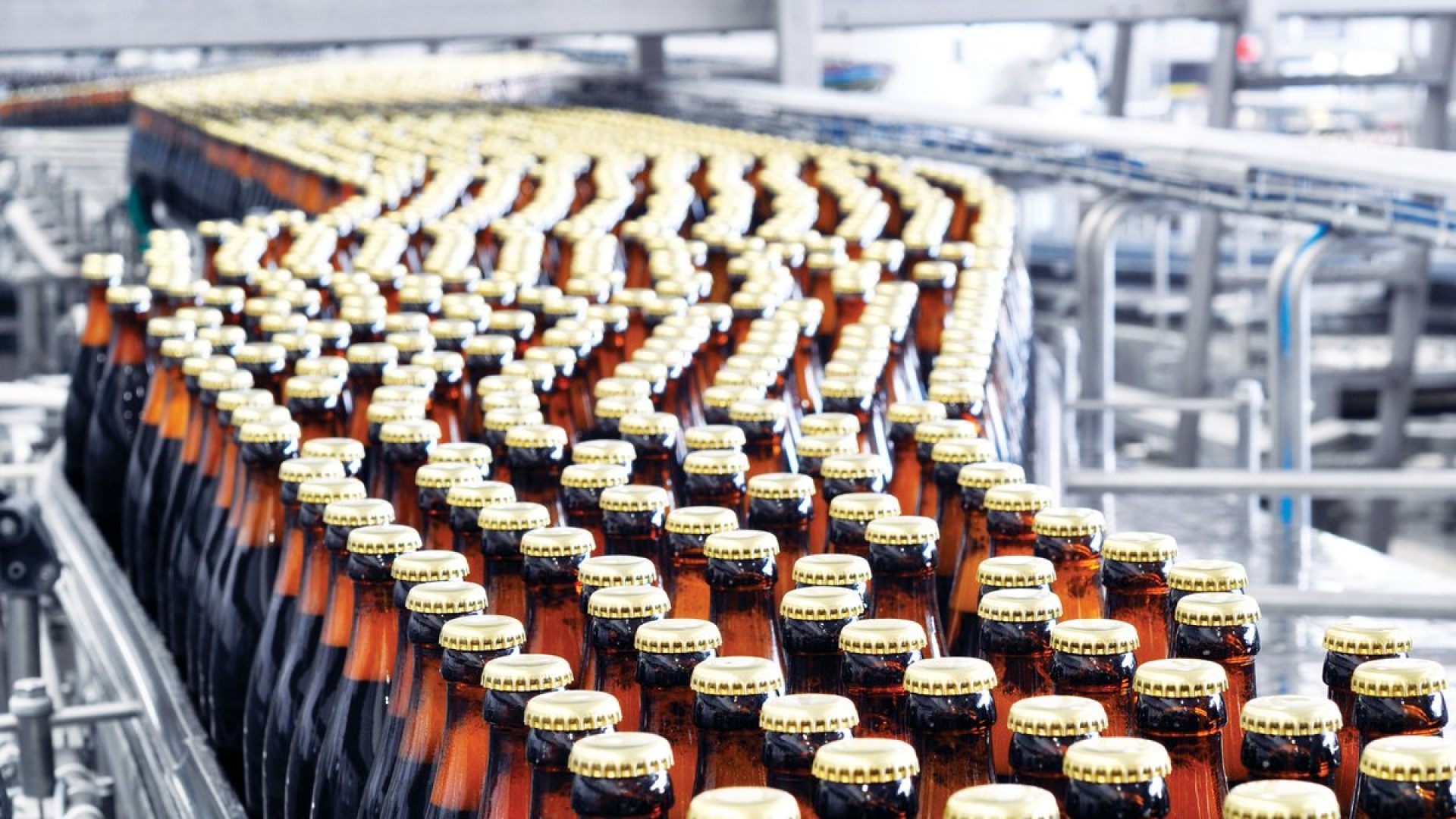 Beer moves down a brewery conveyor belt. industryview/Getty Images